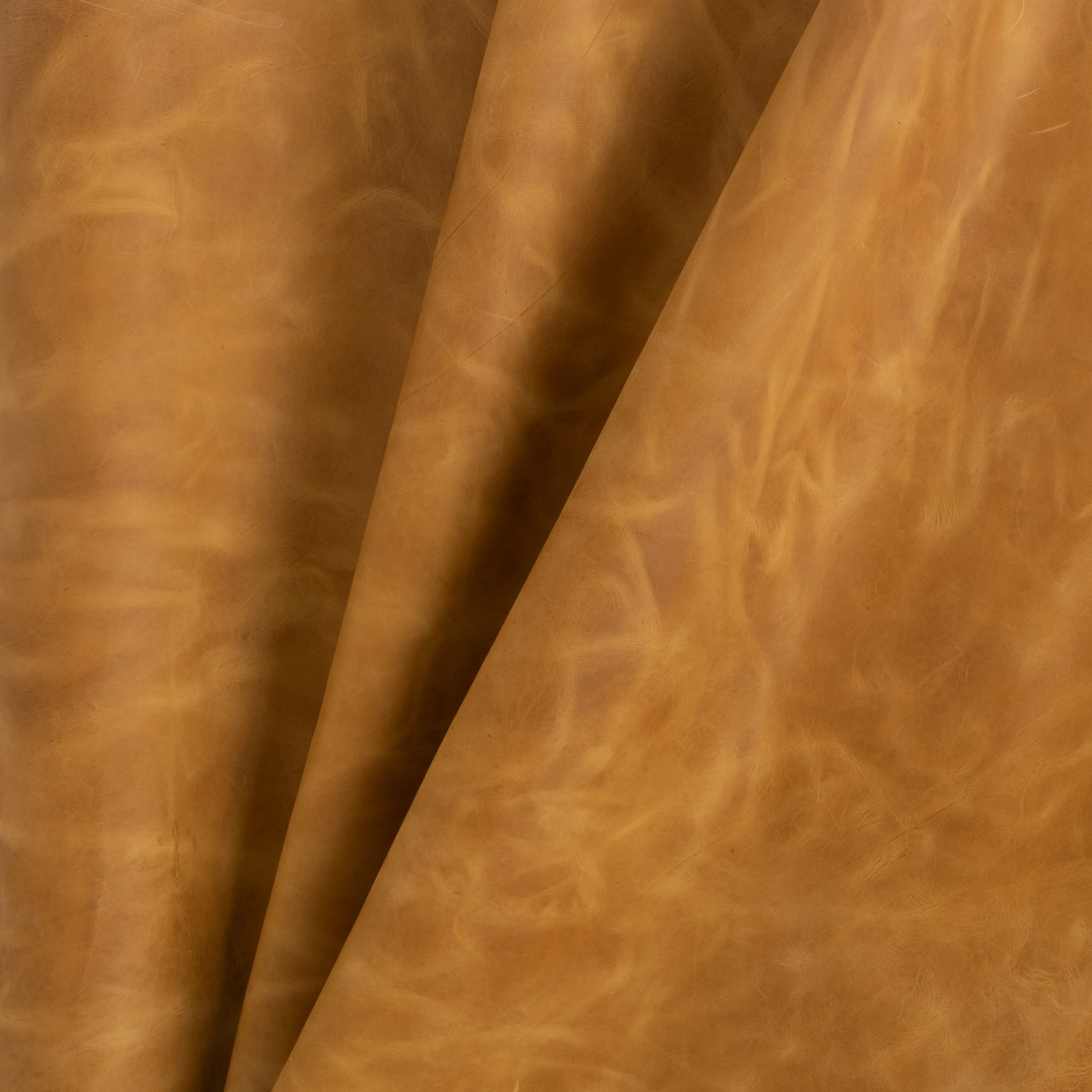 Denver Side - Image 42