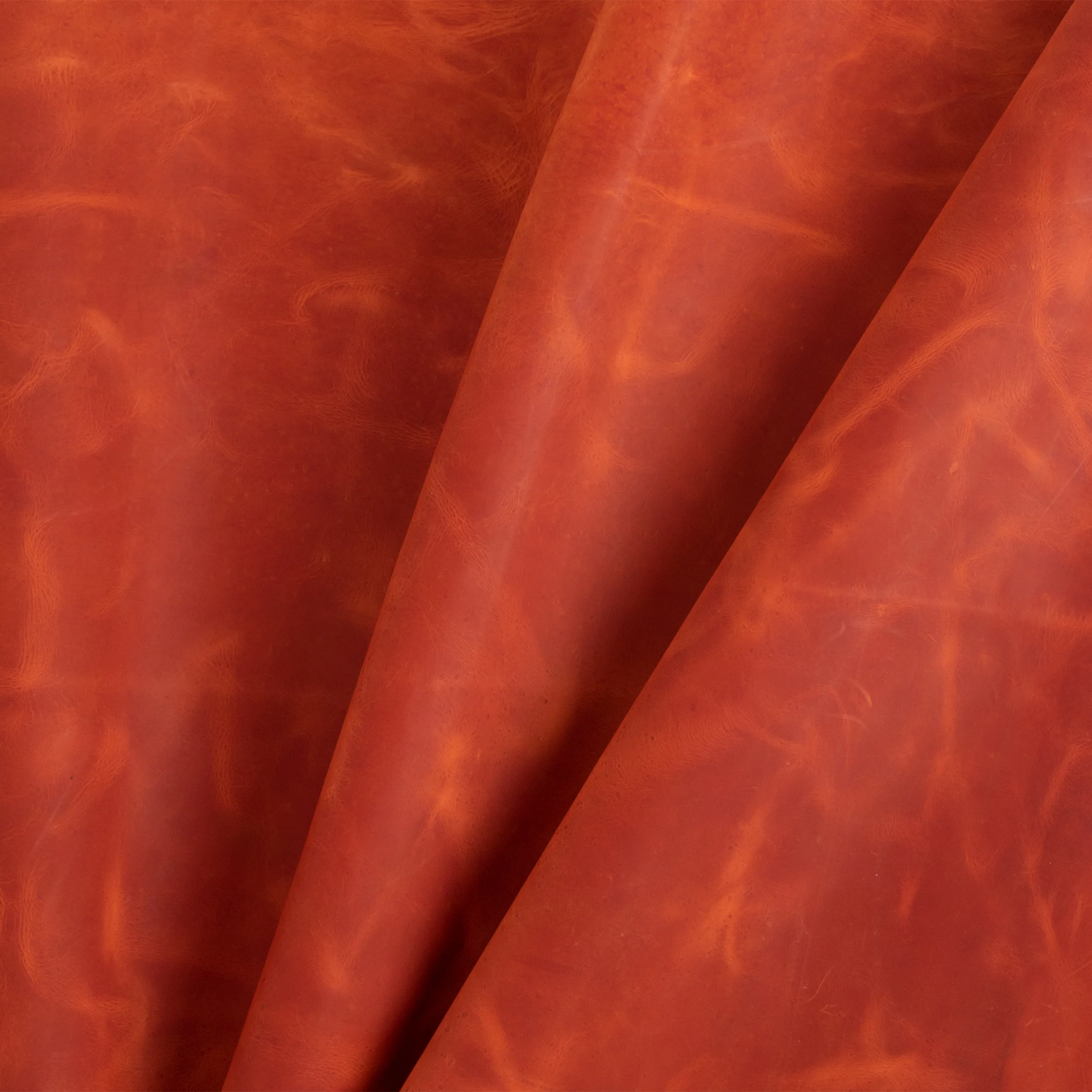 Denver Side - Image 62