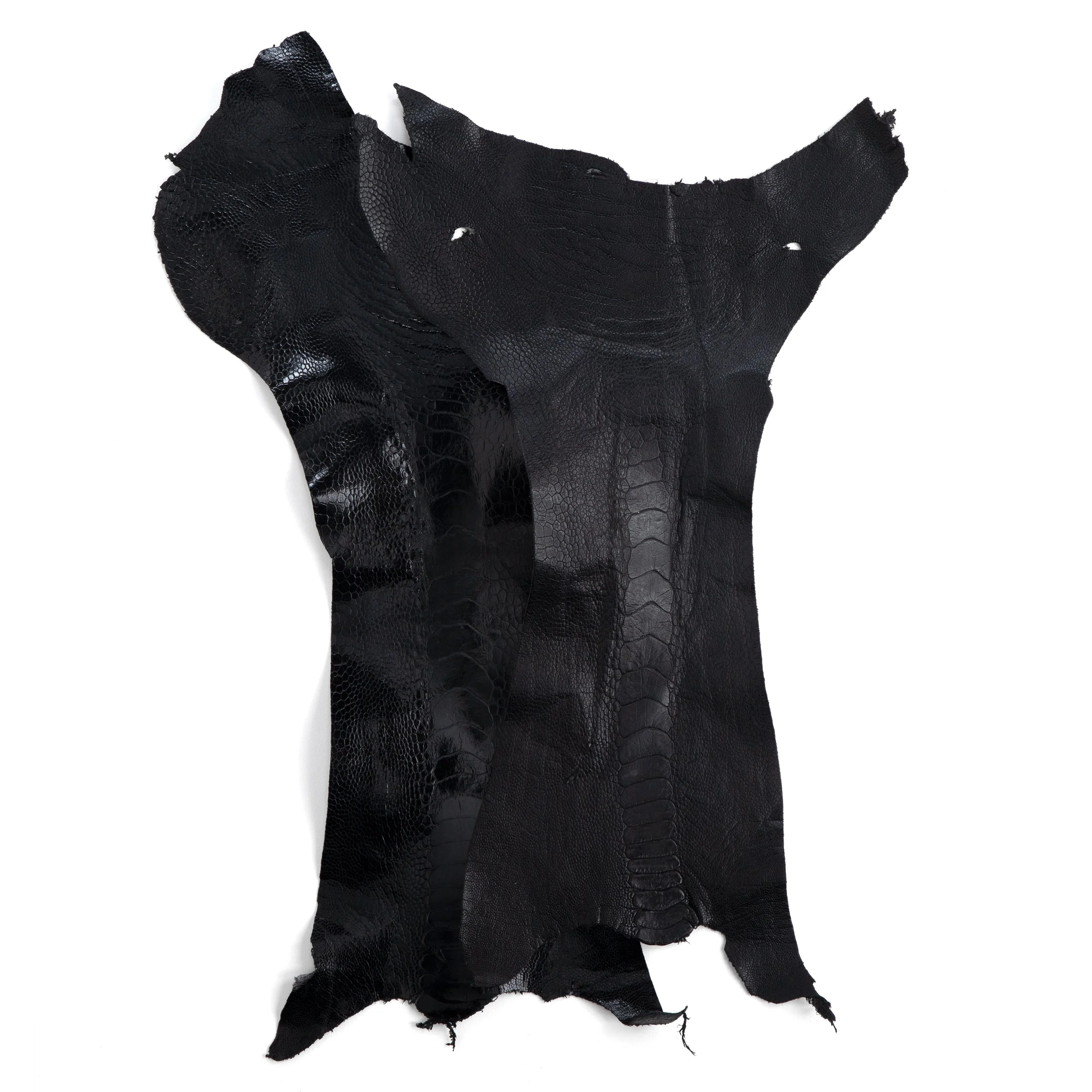 Ostrich Leg - Image 3