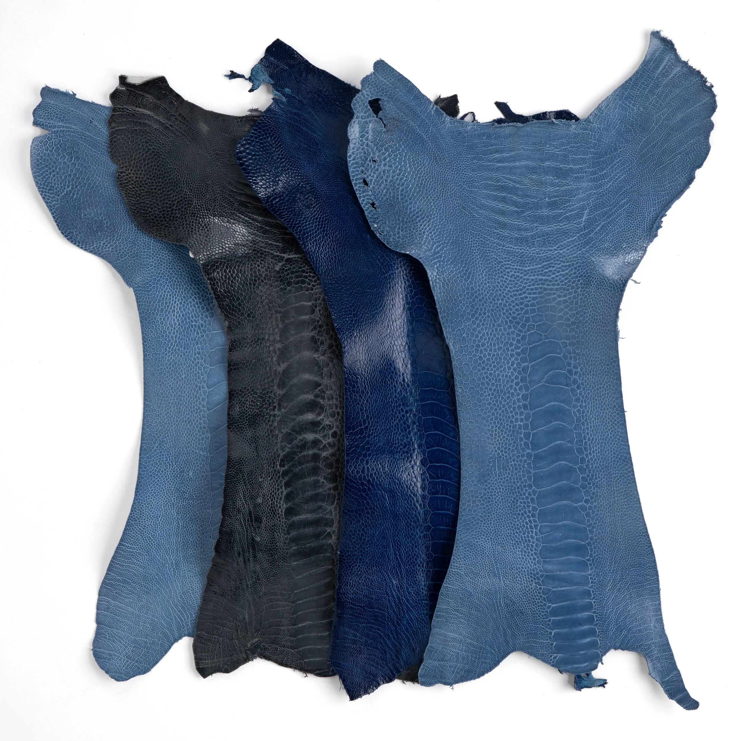 Ostrich Leg - Image 4