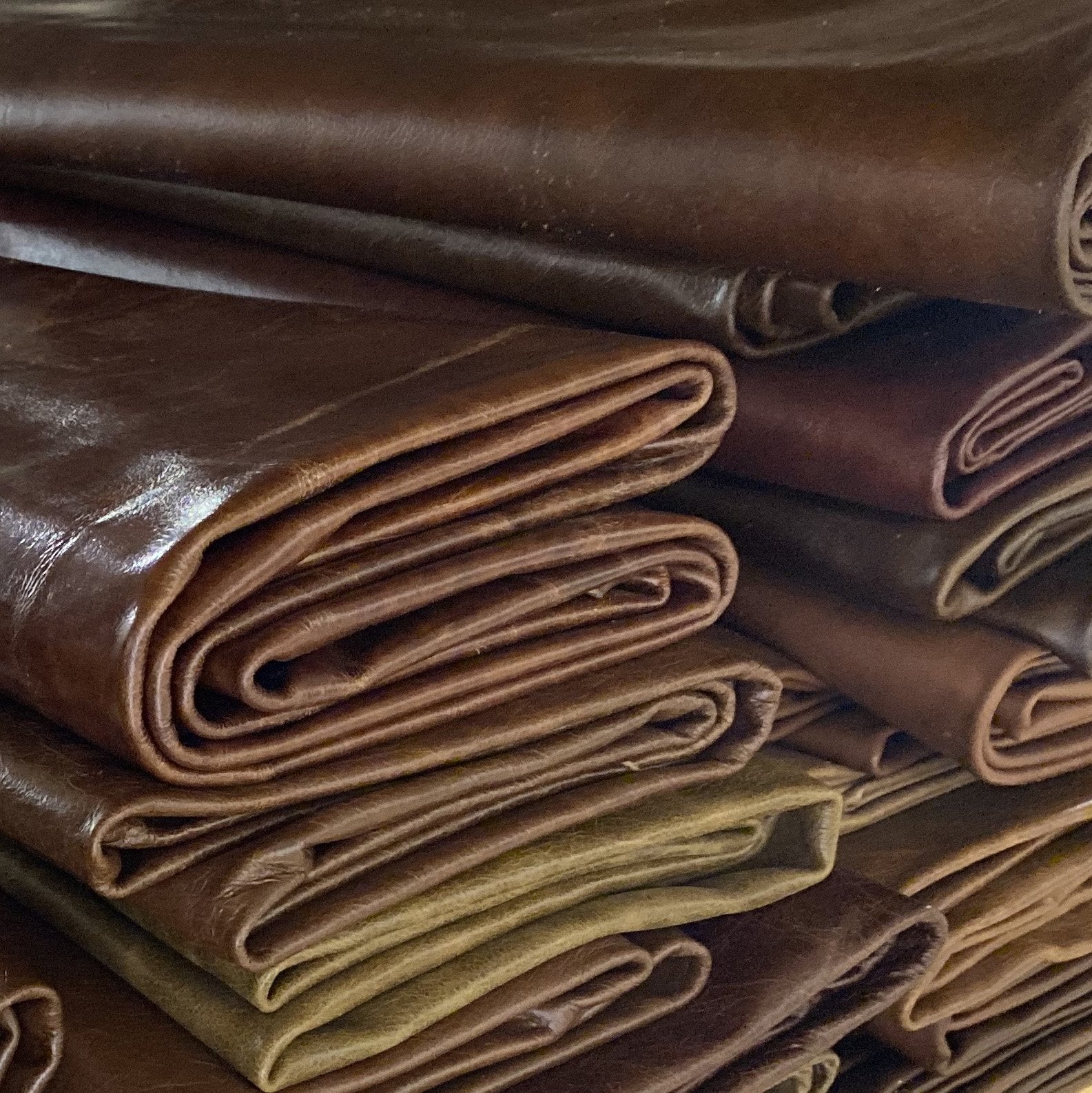 Designer Whole Hide - Image 4