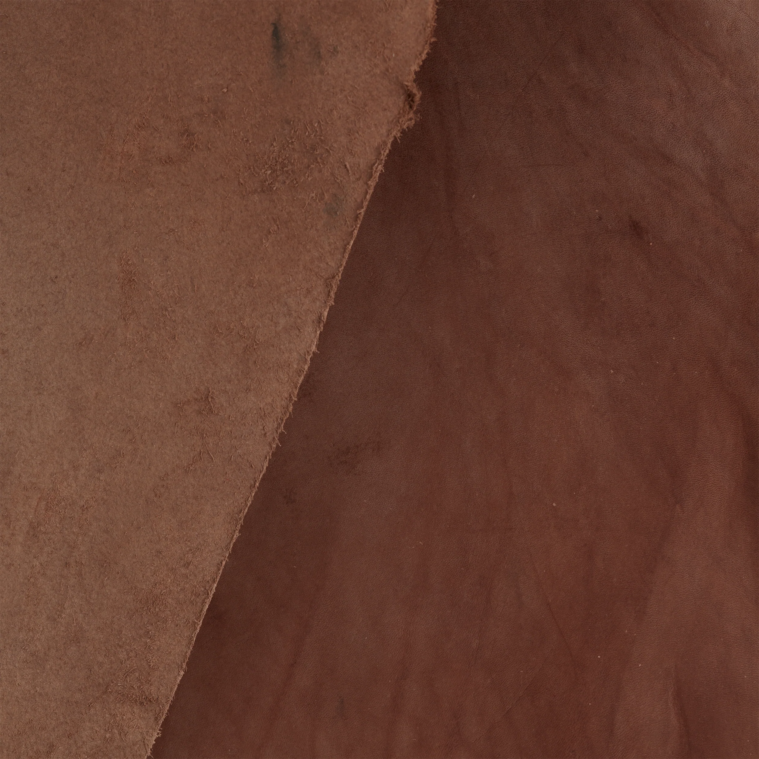 Economy Dyed Veg-Tan Belly - Image 8