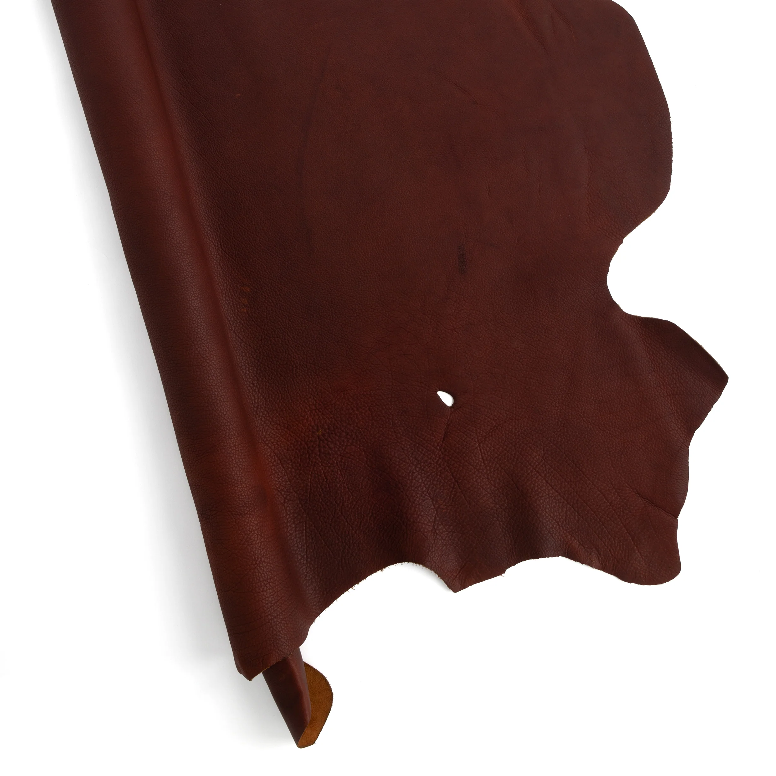 Frontier Bison Side - Image 4