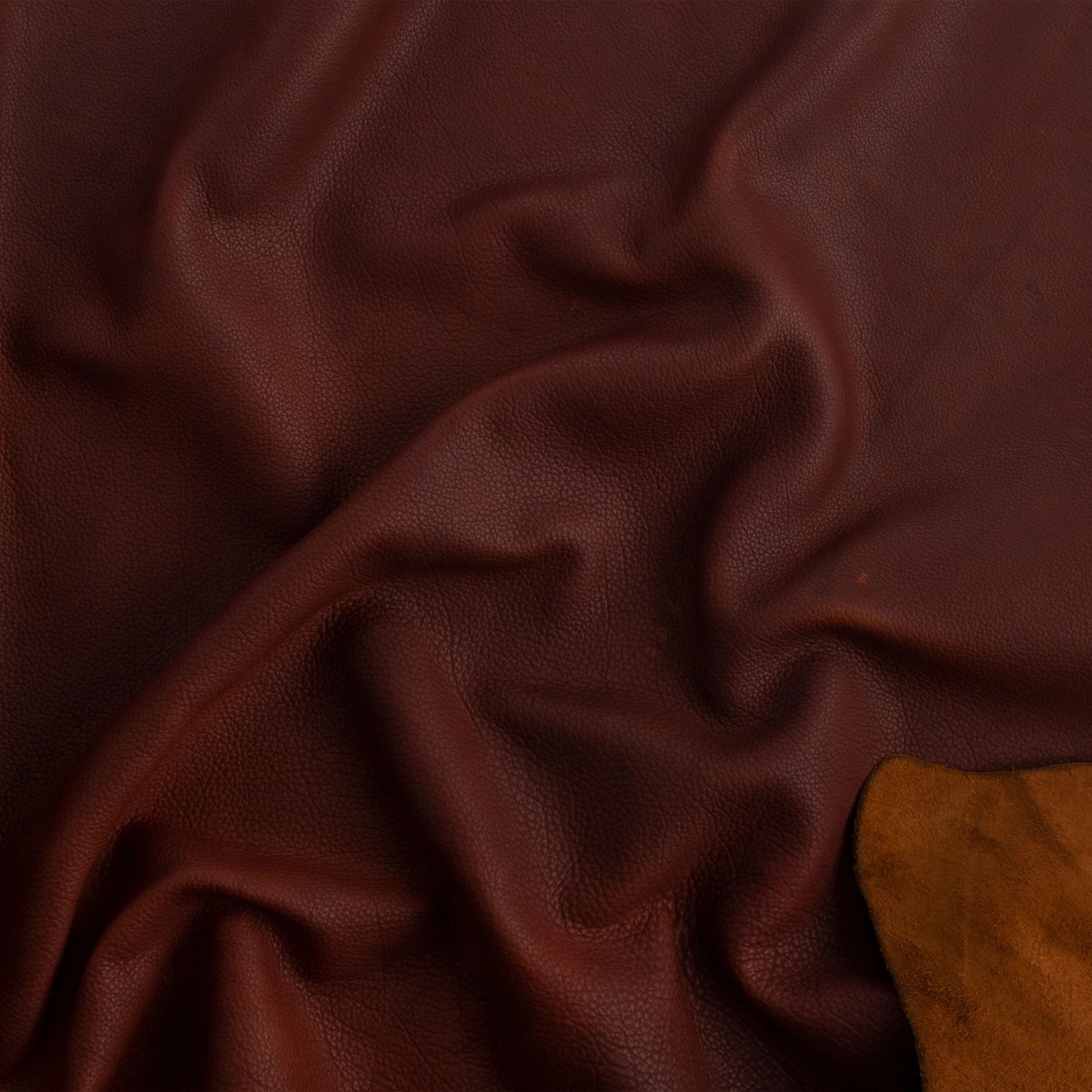 Frontier Bison Side - Image 6