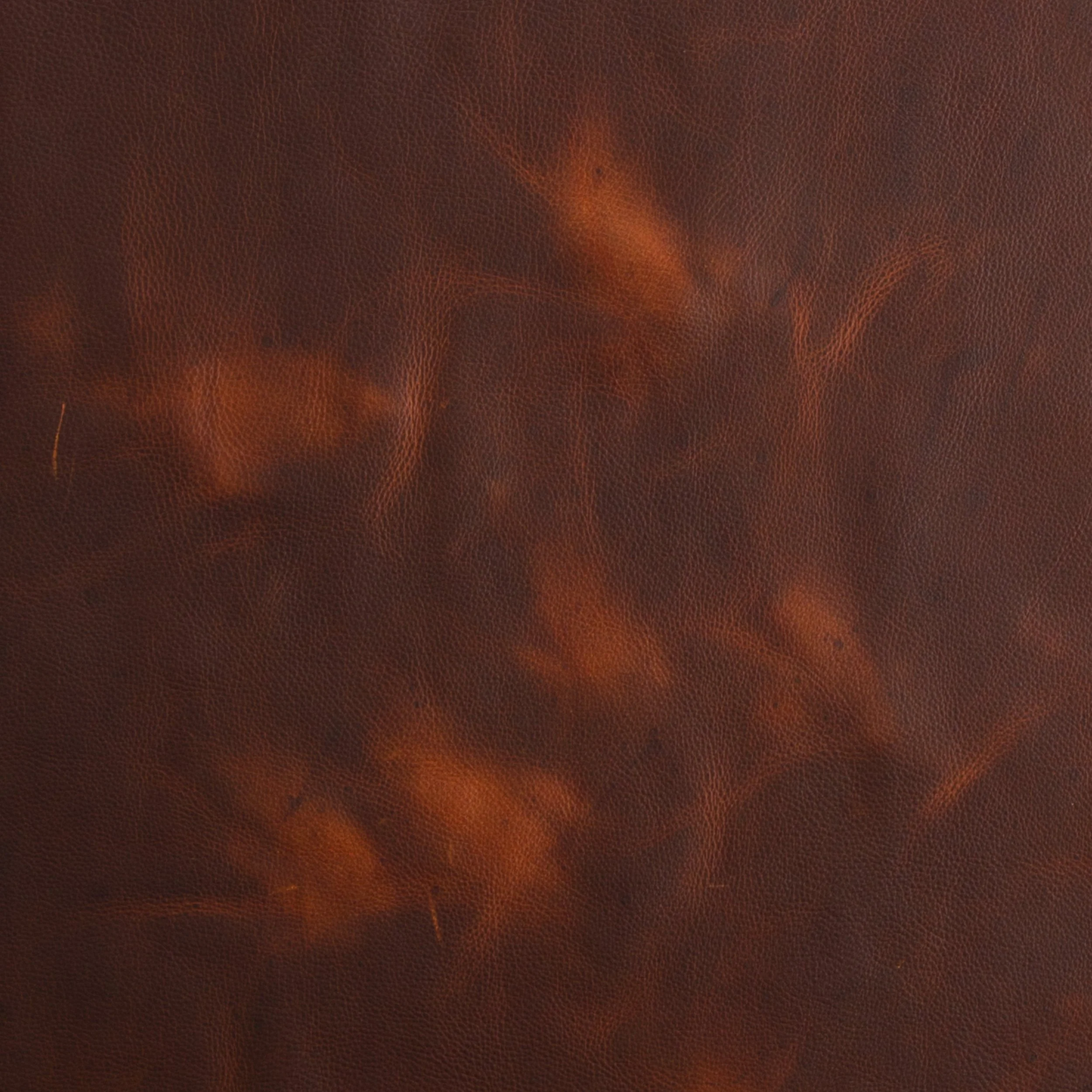 Kodiak Oil-Tanned Side - Image 15