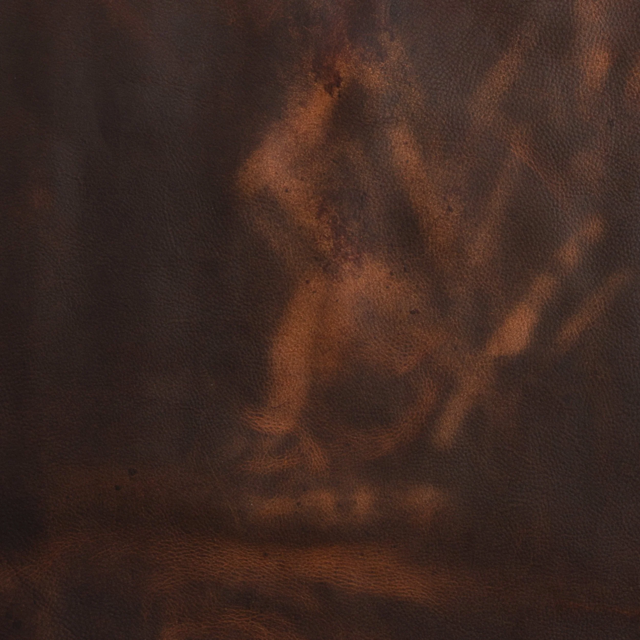 Kodiak Oil-Tanned Side - Image 17