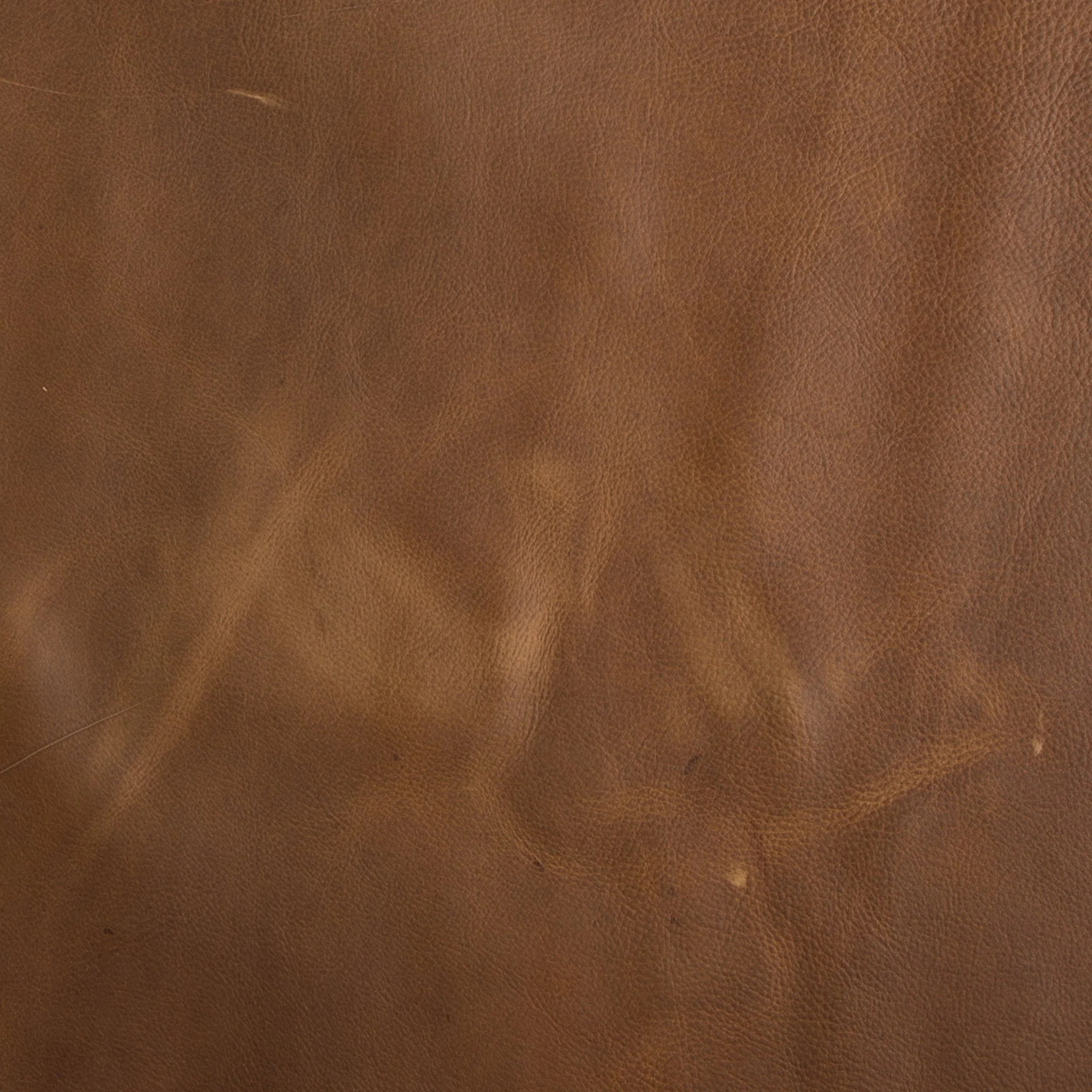 Kodiak Oil-Tanned Side - Image 19