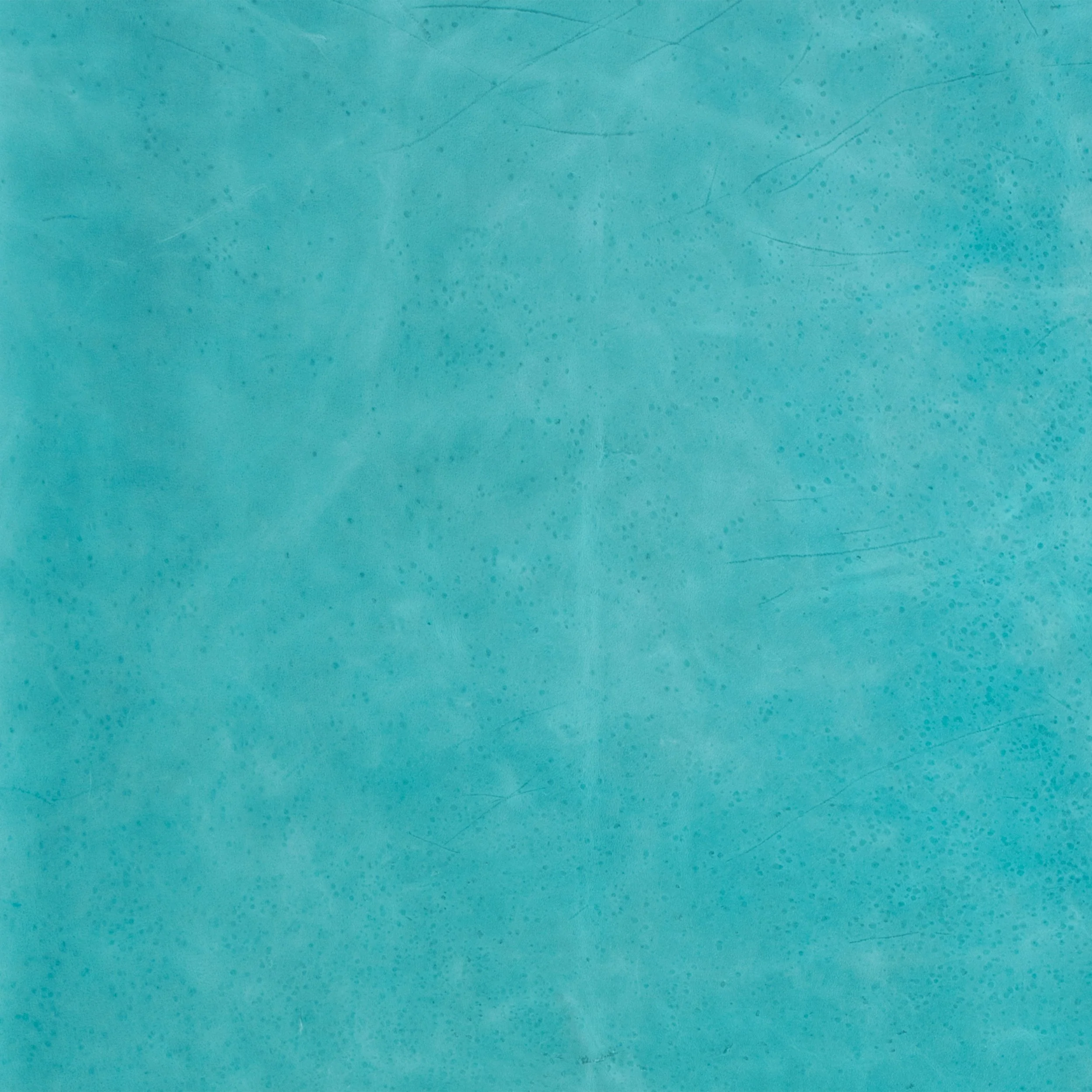 Laredo Crazy Pull Up Side - Image 18