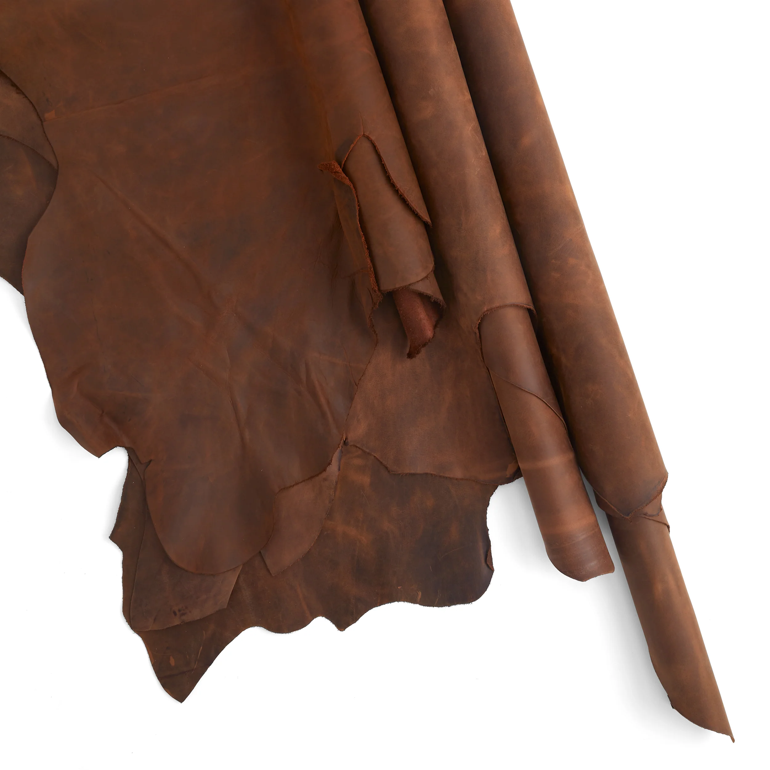 Laredo Crazy Pull Up Side - Image 22