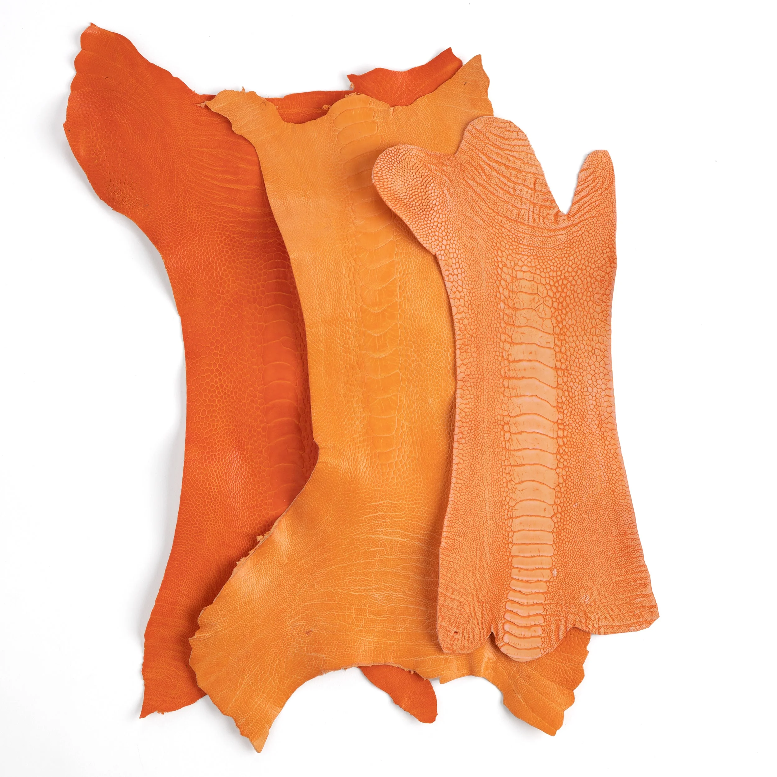 Ostrich Leg - FINAL SALE - Image 3