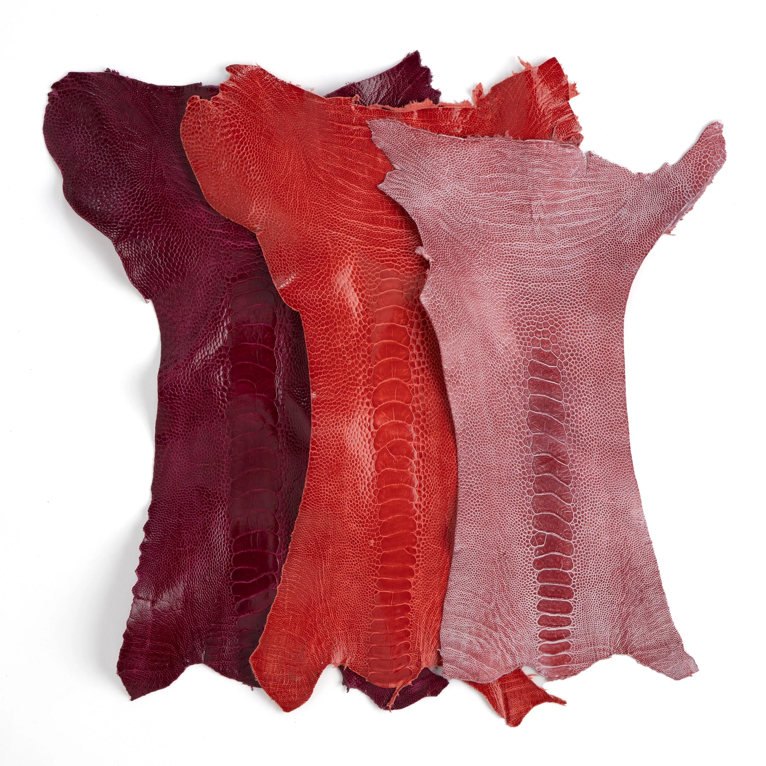 Ostrich Leg - FINAL SALE - Image 4