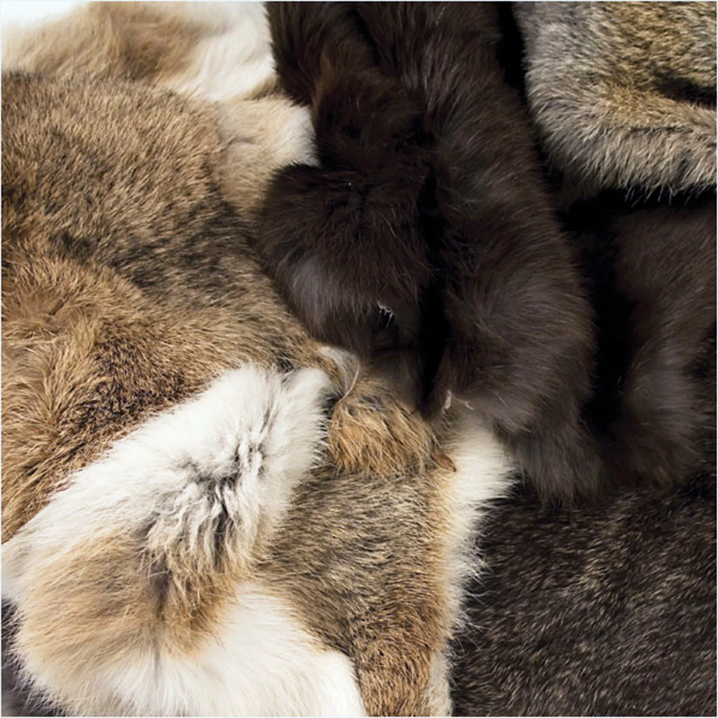Rabbit Skin - Image 3