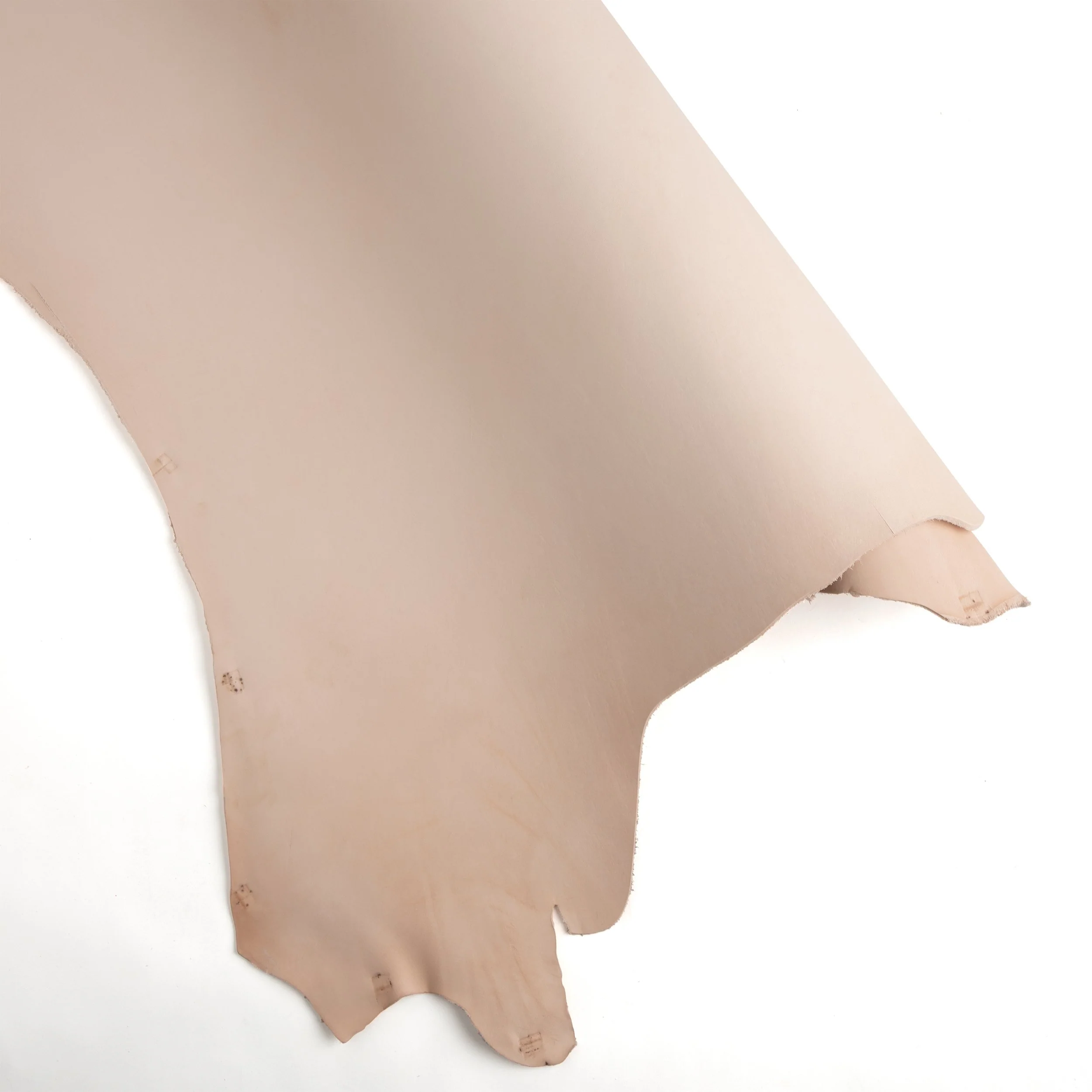 Selection Mimosa Mix Veg-Tan Side - Image 5