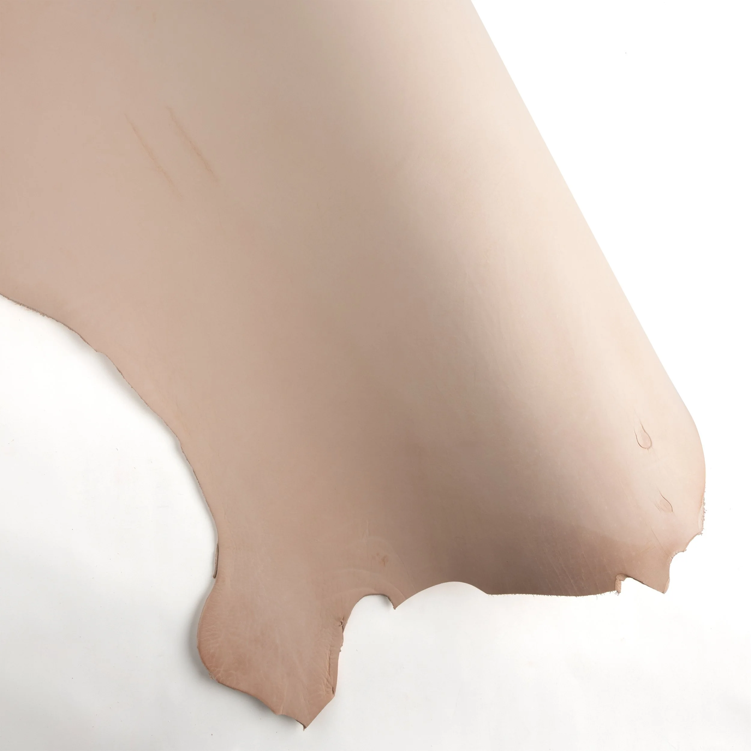 Selection Mimosa Mix Veg-Tan Side - Image 7