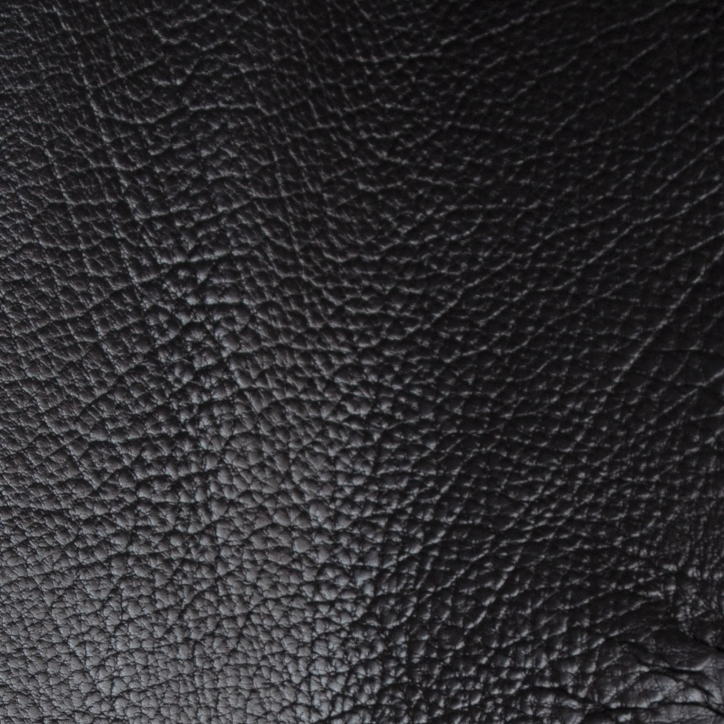 Water Buffalo Side - Image 4