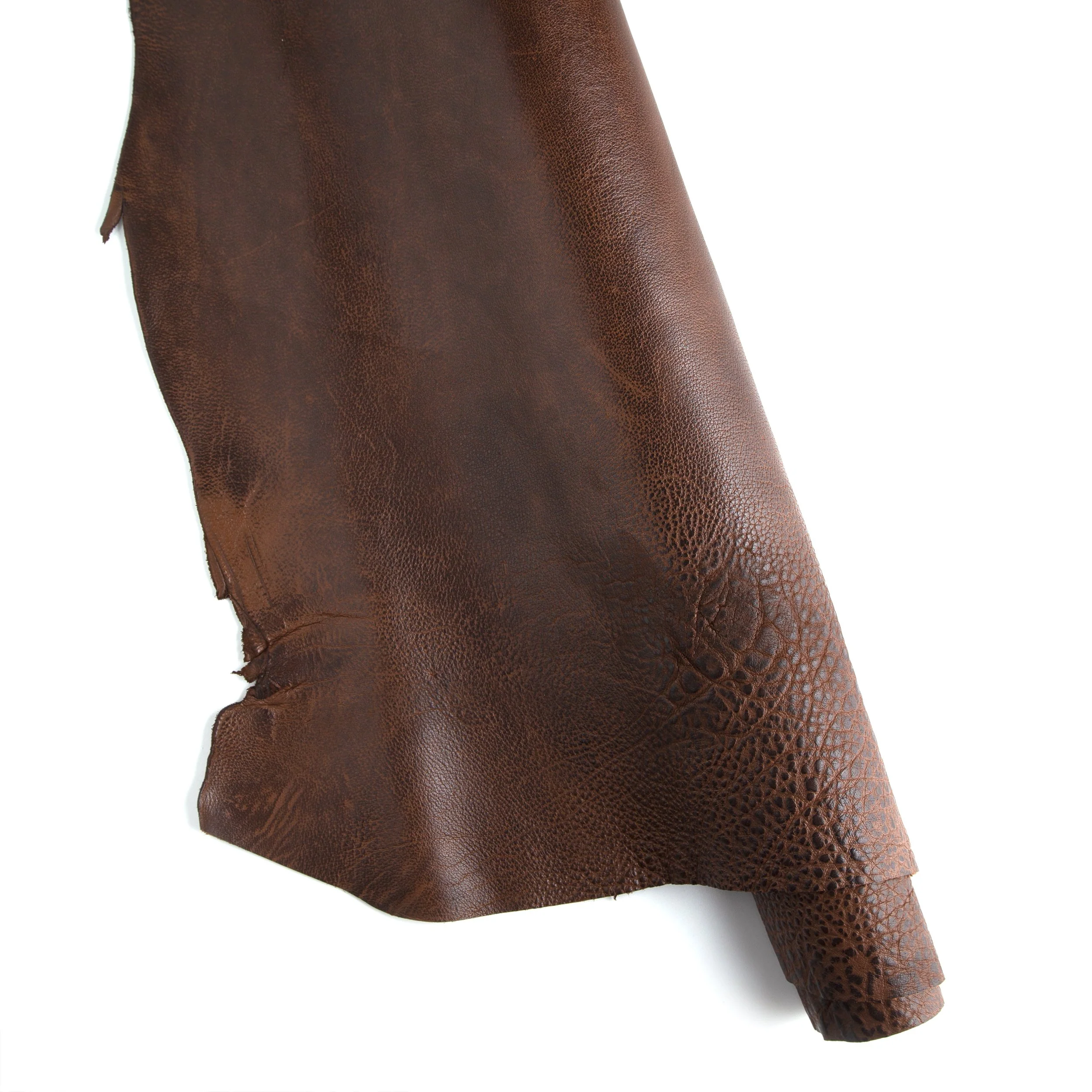 Water Buffalo Side - Image 5